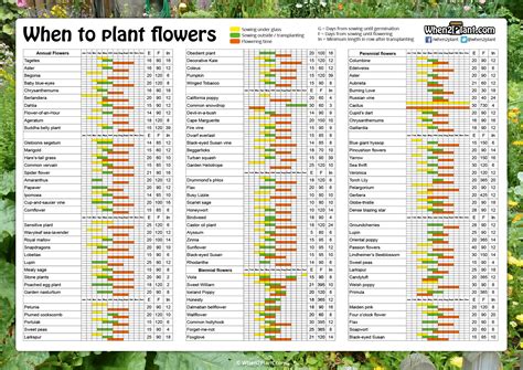 When to Plant Flowers in Virginia: A Detailed Guide with Multiple Perspectives